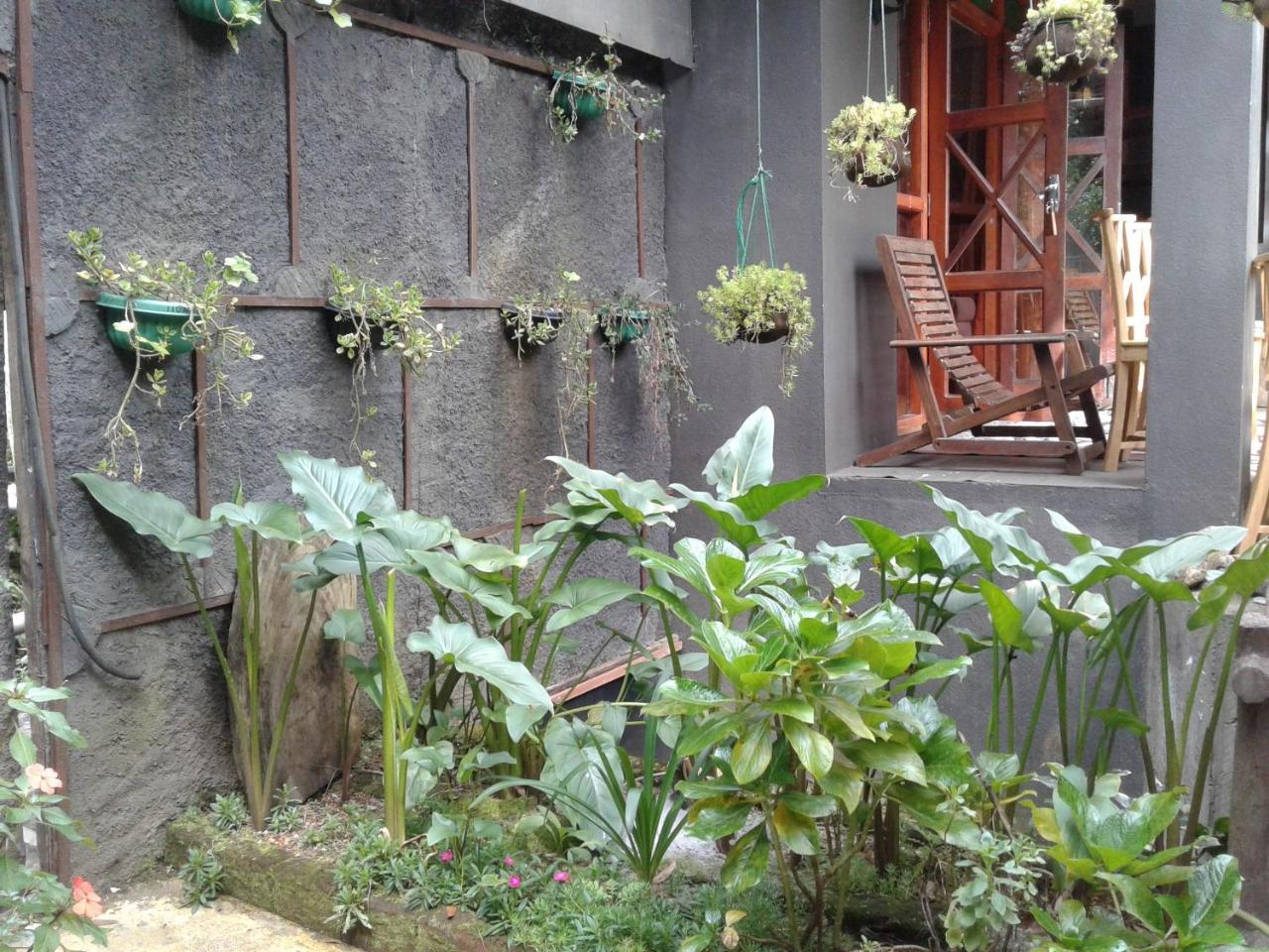 King Fern Cottage Nuwara Eliya Exterior foto