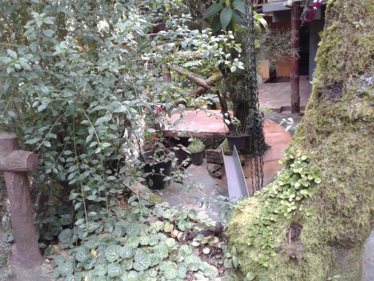 King Fern Cottage Nuwara Eliya Exterior foto
